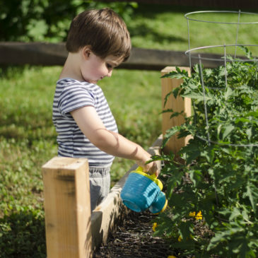 Gardening with Children