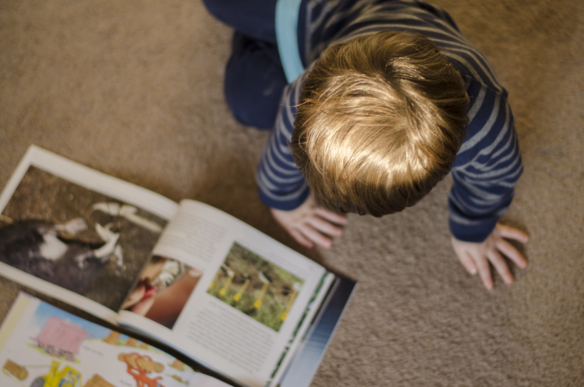 Reading Around the Year